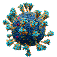 virus